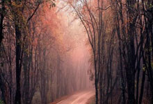 [高尔夫]中国排名：金子豪攀升到第三位 李昊桐153位领衔.