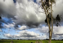 爱游戏官网：伊尼戈：弗里克对我充满信心；拉菲尼亚是真正的领袖.