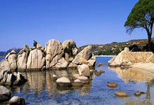 爱游戏官网：RAC1：费尔明、托雷和马丁将提前返回巴萨，备战下周补赛.